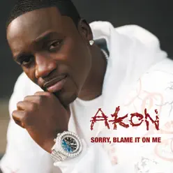 Sorry, Blame It On Me - Single - Akon