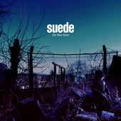 The Blue Hour cover
