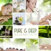 Pure & Deep Relaxation: New Age Instrumental Music with Nature Sounds for Meditation, Mantra, Yoga, Deep Sleep, Spa, Well-being, Healing Therapy Sounds album lyrics, reviews, download