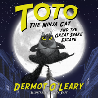 Dermot O'Leary - Toto the Ninja Cat and the Great Snake Escape artwork