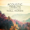 Acoustic Tribute to Niall Horan (Instrumental)