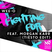 Fighting For (feat. Morgan Karr) [Tiësto Edit] artwork