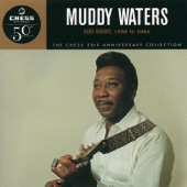 Muddy Waters - Just To Be With You
