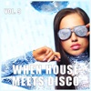 When House Meets Disco, Vol. 9, 2013