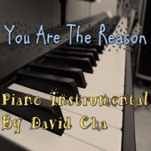 You Are the Reason (Piano Instrumental) artwork