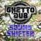Break It Down (Vinyl Junkie & Subcriminal Remix) - Sound Shifter lyrics