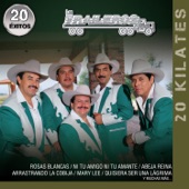 Los Traileros Del Norte - Amnesia