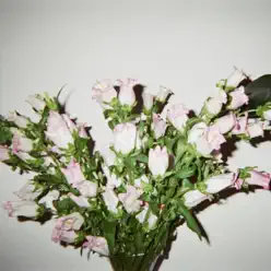 Drip - Single - The Marías Drip - Single - The Marías