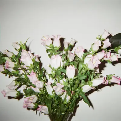 Drip - Single - The Marías