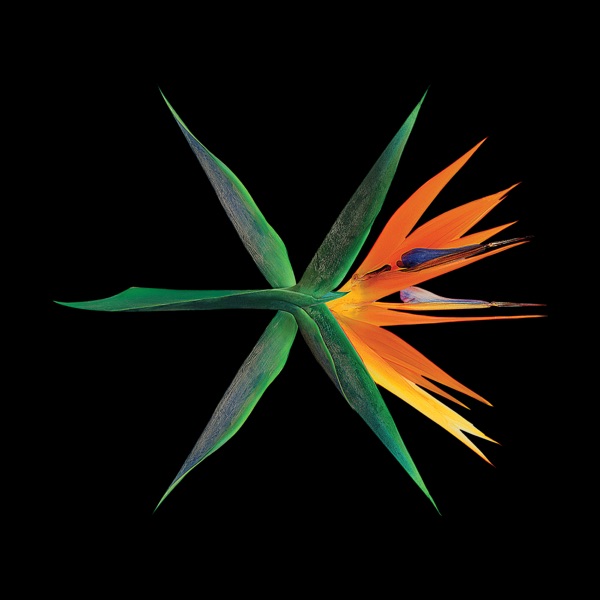 THE WAR - The 4th Album (Chinese Version) - EXO