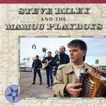 Steve Riley & The Mamou Playboys - High Point Two Step