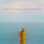 Andrew McMahon In the Wilderness artwork