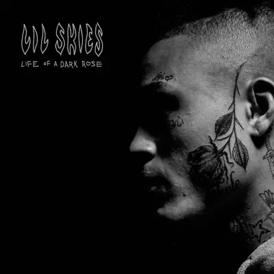 Welcome to the Rodeo - Single - Lil Skies