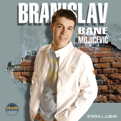 Bane Mojicevic - Neizlečivo
