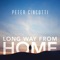 Story for Another Day - Peter Cincotti lyrics