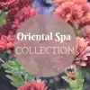 Oriental Spa Collection - Ying & Yang Wellness Music, Zen Awakening Nature Sounds album lyrics, reviews, download