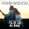 Pofta de Baut - Single
