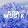 Spa Musik: Hintergrundmusik & Musik für Tiefenentspannung, Entspannungsmusik, Wellness & Sauna album lyrics, reviews, download