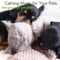 Puppy - My Sweet Puppy Dog - Pet Care Music Therapy lyrics