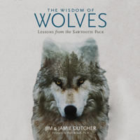 Jim Dutcher, Jamie Dutcher, James Manfull - contributor & Marc Bekoff - foreword, PhD - The Wisdom of Wolves: Lessons from the Sawtooth Pack (Unabridged) artwork