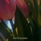 Potpourri (feat. Sunrey & Chase Walker) - Chasing the Sun lyrics