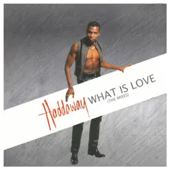 What Is Love (The Mixes) - Haddaway