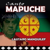 Lautaro Manquilef - Amor mapuche
