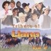 Tributo Al Llano, Vol. 2