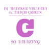 So Amazing (feat. Mitch Crown) - Single, 2011