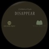 Disappear artwork