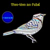 Tico-Tico No Fubá - Single