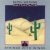 Strings with Wings