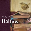 Duke Special