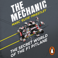 Marc 'Elvis' Priestley - The Mechanic artwork