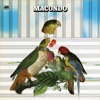 Macondo, 1972