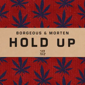 Hold Up by Borgeous & MORTEN song reviws