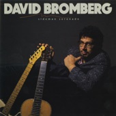 David Bromberg - Testify