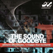 Sound of Goodbye (feat. Patrizze) artwork