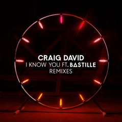 I Know You (feat. Bastille) [Remixes] - EP