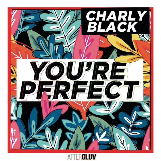 Cover artwork for You're Perfect