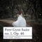 Peer Gynt Suite No. 1, Op. 46: IV. In the Hall of the Mountain King artwork