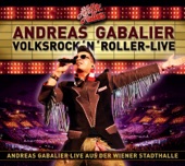 VolksRock'n'Roller - Live artwork