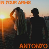 In Your Arms (Nigel Stately & T.O.M Deep House Remix) artwork