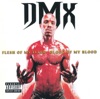 Slippin' by DMX iTunes Track 2