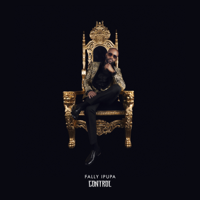 Fally Ipupa - Control artwork