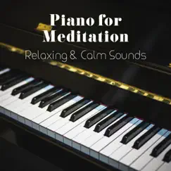 Piano for Meditation: Relaxing & Calm Sounds, Relaxation, Mindfulness, Spa & Deep Sleep by Instrumental Piano Academy & Sound Therapy Masters album reviews, ratings, credits