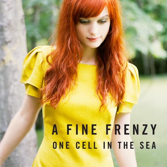 Cover artwork for Ashes and Wine