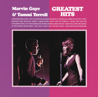 Marvin Gaye & Tammi Terrell - Ain't No Mountain High Enough artwork