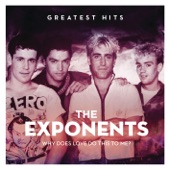 Why Does Love Do This To Me: The Exponents Greatest Hits artwork