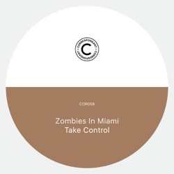 Zombies In Miami - Take Control (Simple Symmetry Remix)